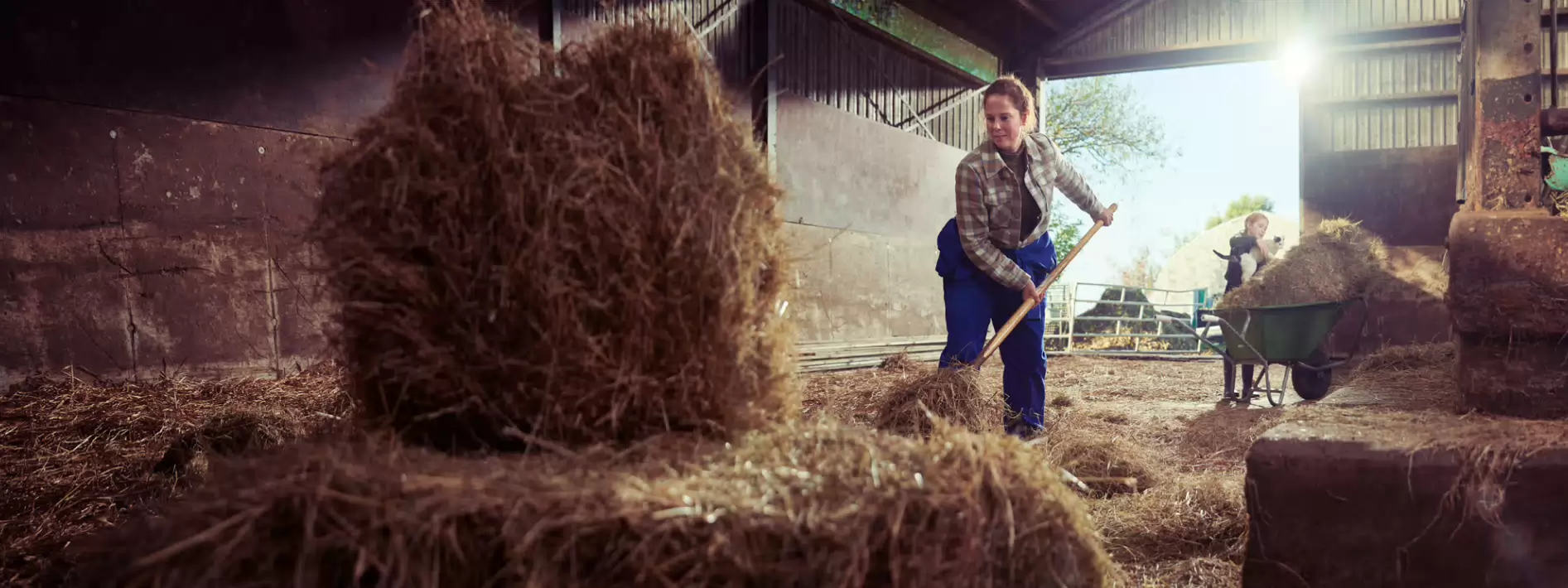 Zakenverzekering voor agrarische bedrijven - header 