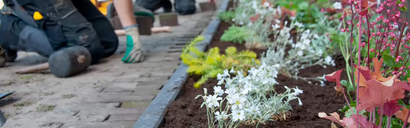 Wat hebben tuintegels met waterschade te maken?