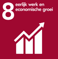 symbool sdg8