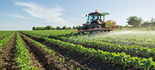 foto tractor