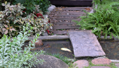 Onderhoudsvrije tuin