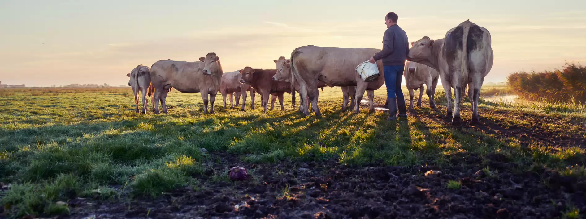 Milieuschadeverzekering voor agrarische bedrijven - header 
