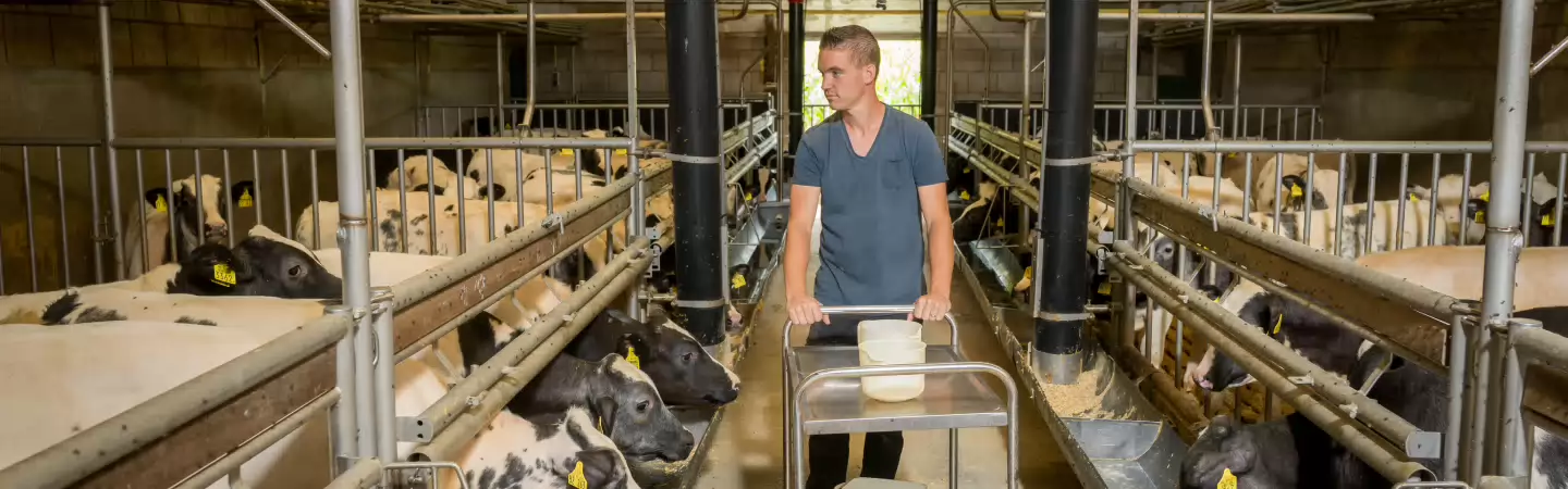 Preventieve maatregelen die je zelf kunt nemen voor een brandveilige stal