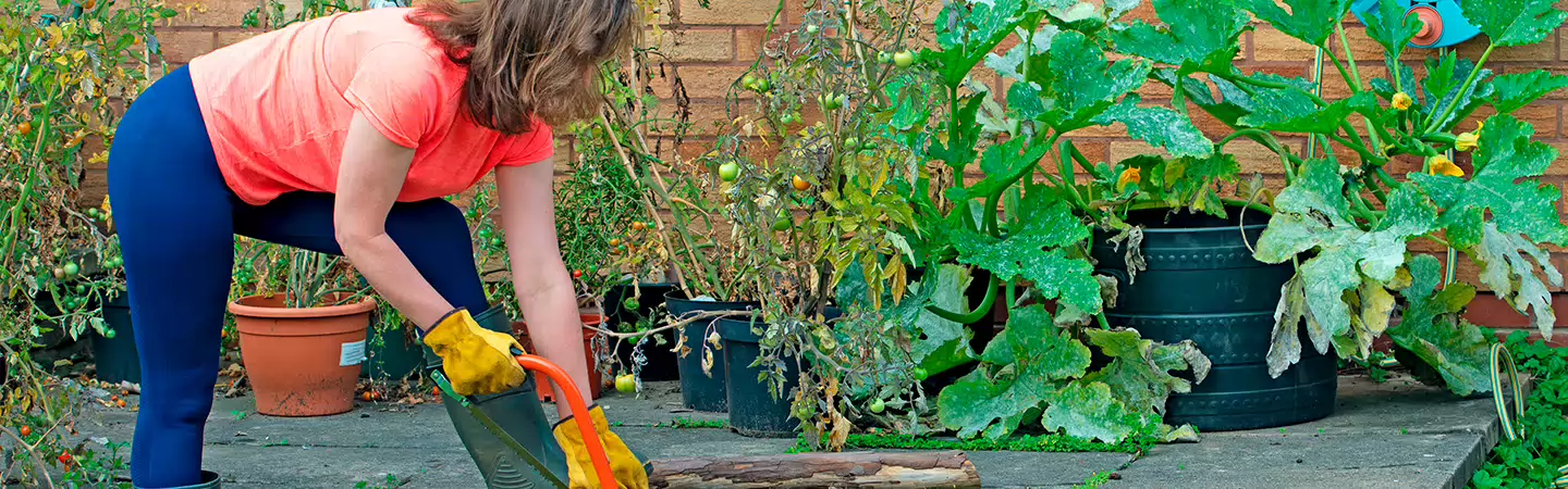 Zo creëer je een onderhoudsvrije én groene tuin  