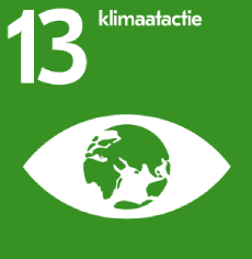 symbool sdg13 - klimaatactie wereld oog
