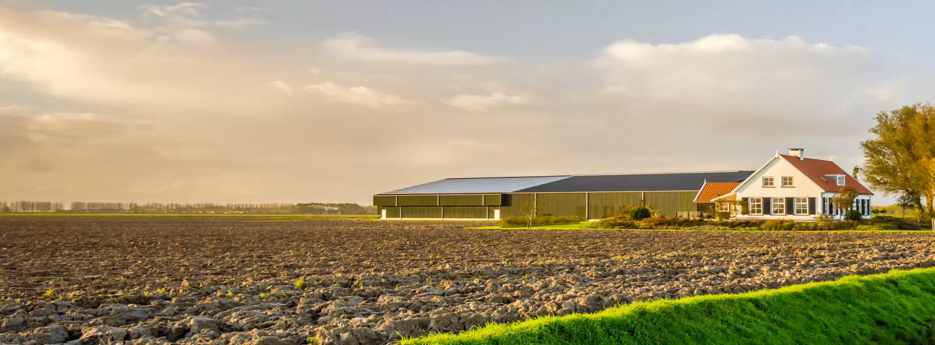 Gebouwenverzekering voor agrarische bedrijven - header 