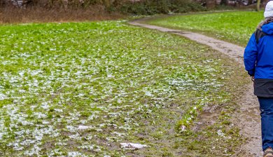 Vrouw met hond in drassige omgeving